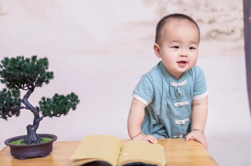 大丰可爱的企鹅宝宝
